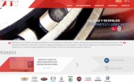 RELEASING WEB SITE